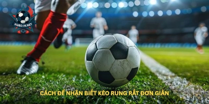 Cách để nhận biết Kèo Rung rất đơn giản